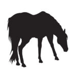 Western Style Tile - Horse-Mustang Grazing