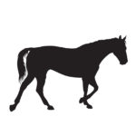 Western Style Tile - Horse-Mustang