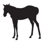 Western Style Tile - Horse - Colt
