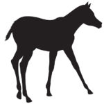 Western Style Tile - Horse - Colt