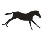 Western Style Tile - Horse-Running Colt