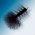 Fly Fishing Fly, Gold Bead Black Woolley Bugger