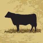 Western Style Tile, Angus Cow