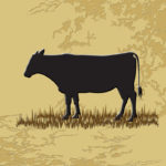 Western Style Tile, Angus Cow