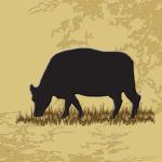 Western Style Tile | Angus Cow