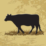 Western Style Tile | Angus Cow