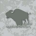 Wildlife Tile • Buffalo Bison
