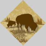 Tile Murals, Buffalo/ Bison/Single