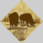 Wildlife Tile Single Buffalo/ Bison