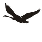 Wildlife Tile Single Goose/Honker