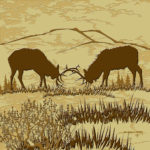 Tile Mural, Bull Elk, Single