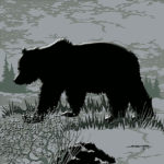 Grizzly Bear Tile