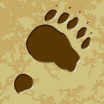 Wildlife Tile Single Black Bear Front Foot Print