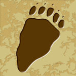 Wildlife Tile Single Black Bear Rear Foot Print