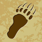 Wildlife Tile Single Grizzly Bear Rear Foot