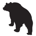 Wildlife Tile Single Grizzly Bear - 1