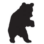 Wildlife Tile Single Bear Cub -1