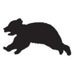 Wildlife Tile Single Bear Cub - Running-2