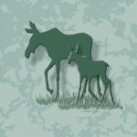 Wildlife Tile Single Moose/Cow and Calf