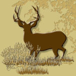 Wildlife Tile Single Mule Deer