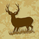 Wildlife Tile • Mule Deer