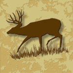 Wildlife Tile Single Mule Deer