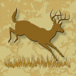 Wildlife Tile Single Whitetail Deer