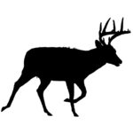 Wildlife Tile Single Whitetail Deer