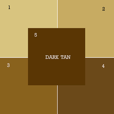 Colot Chart | Tile Size | Designers Choice Tile