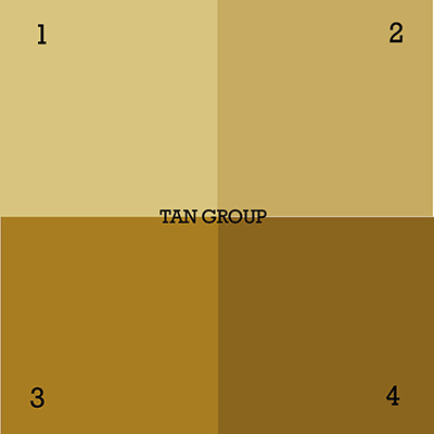 Colot Chart | Tile Size | Designers Choice Tile