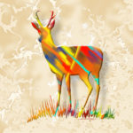 Antelope - Autumn Glory