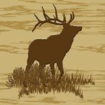 Bull Elk