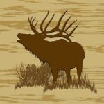 Bull Elk