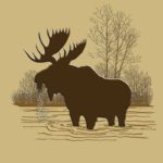 Bull Moose Stillwater's