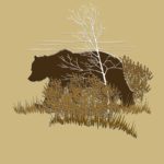 Grizzly Bear with aspen