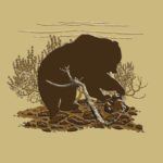 Grizzly turning a rock