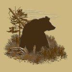 10802 Grizzly Bear looking over shouler