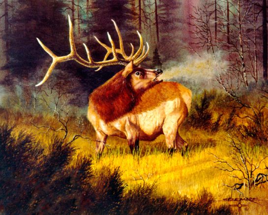 Wildlife Tile Mural, Elk