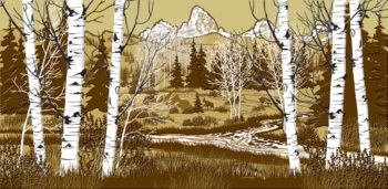 Mountian Landscape-Aspen