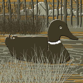 Mallard Duck Swimming