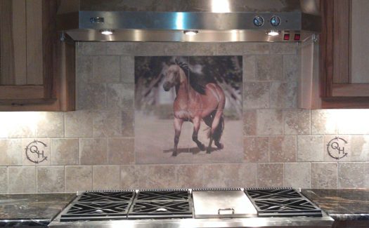 Kitchen Cooktop Backsplash Tile Mural